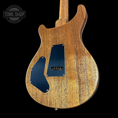 Back angle of PRS TSG Anniversary Wood Library Artist DGT Frostbite Brazilian Rosewood.