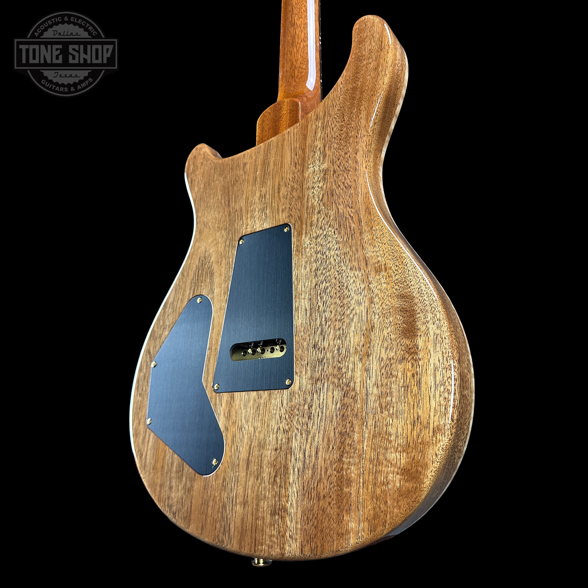 Back angle of PRS TSG Anniversary Wood Library Artist DGT Frostbite Brazilian Rosewood.