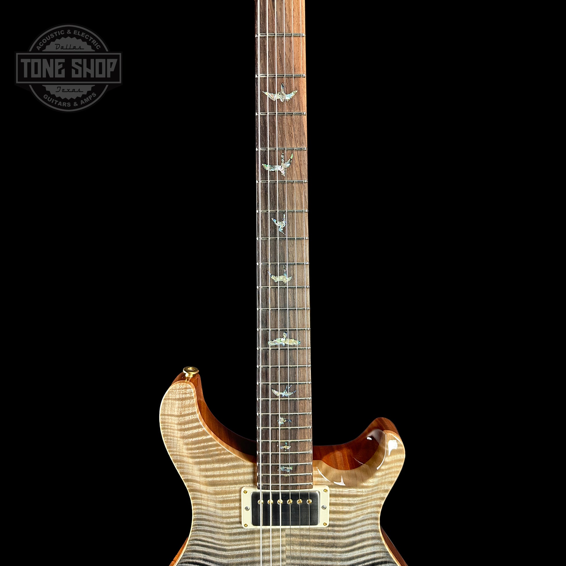 Fretboard of PRS TSG Anniversary Wood Library Artist DGT Frostbite Brazilian Rosewood.