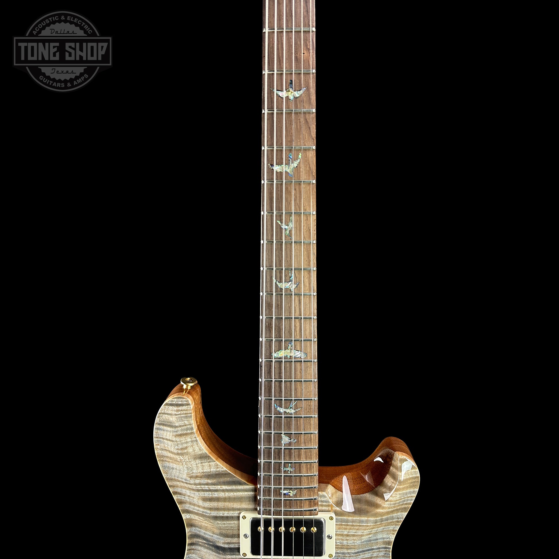 Fretboard of PRS TSG Anniversary Wood Library Artist DGT Frostbite Brazilian Rosewood.