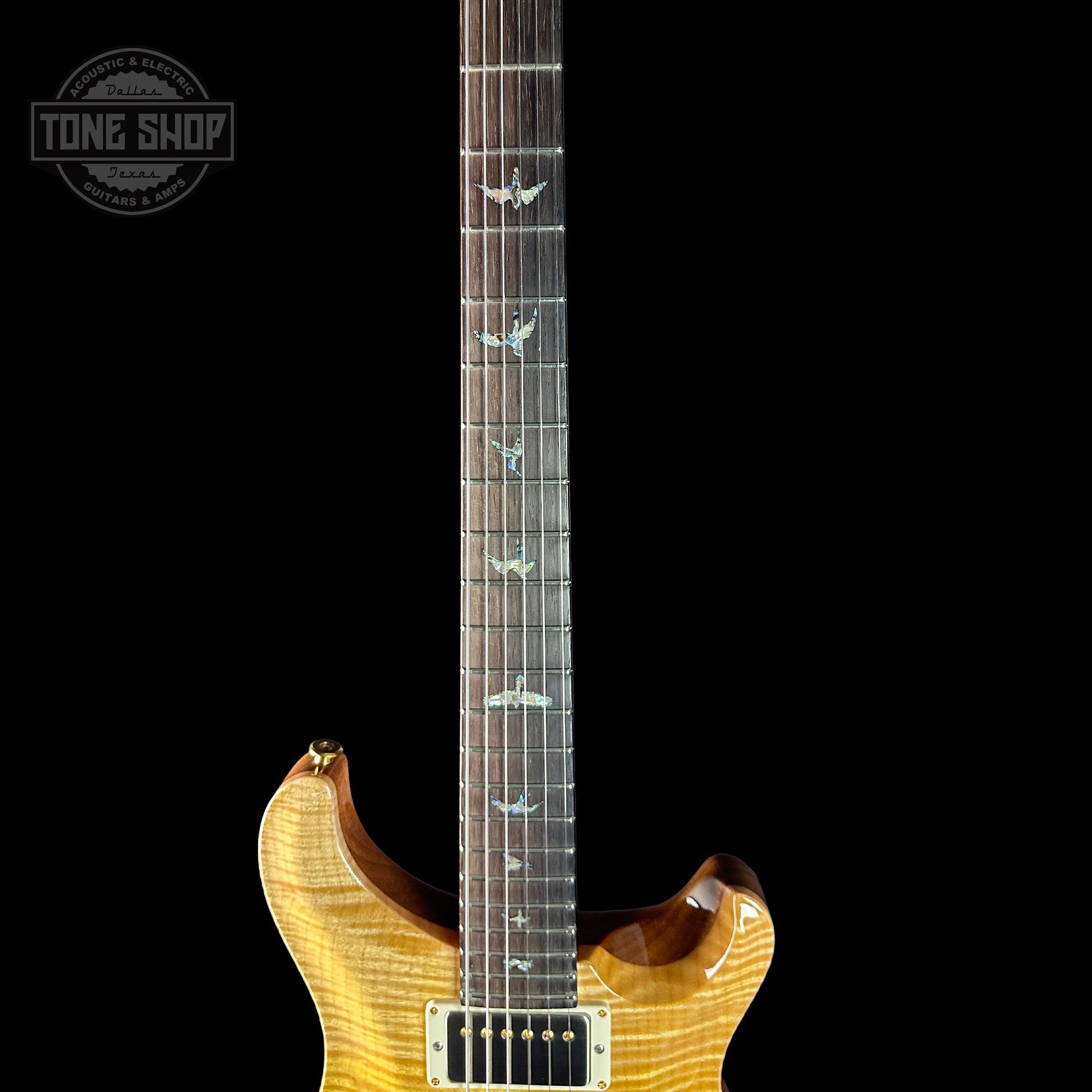 Fretboard of PRS TSG Anniversary Wood Library Artist DGT Gold Storm Fade Brazilian Rosewood.