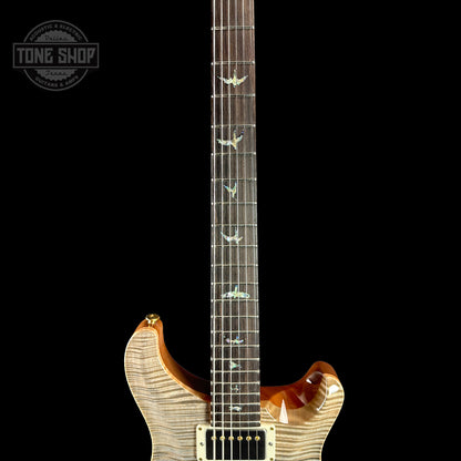 Fretboard of PRS TSG Anniversary Wood Library Artist DGT Frostbite Brazilian Rosewood.