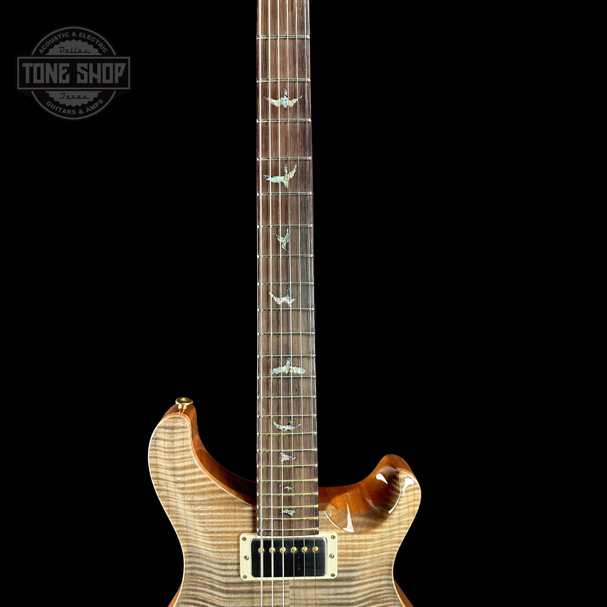 Fretboard of PRS TSG Anniversary Wood Library Artist DGT Frostbite Brazilian Rosewood.