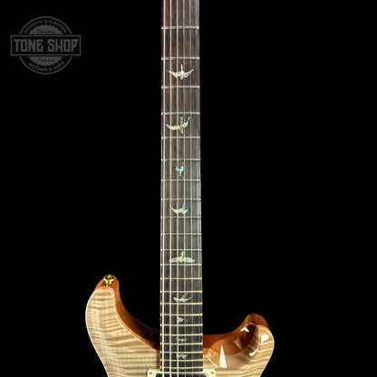 Fretboard of PRS TSG Anniversary Wood Library Artist DGT Frostbite Brazilian Rosewood.