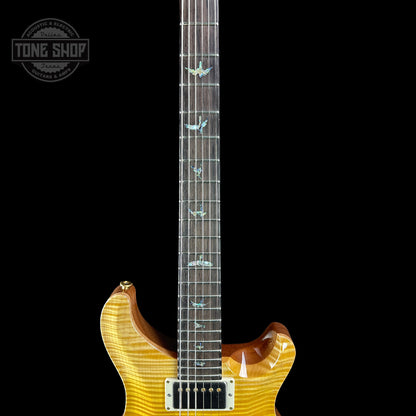 Fretboard of PRS TSG Anniversary Wood Library Artist DGT Gold Storm Fade Brazilian Rosewood.