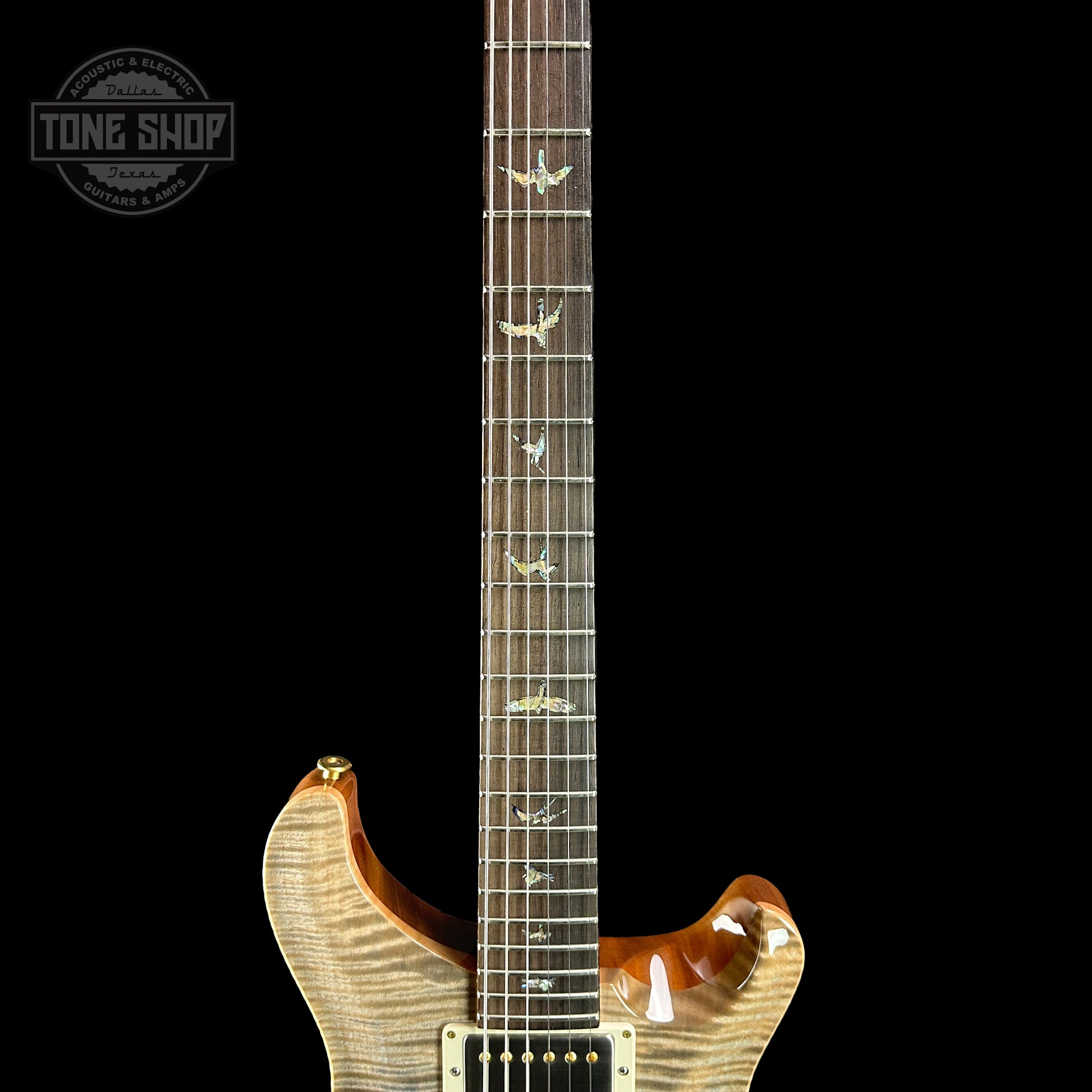 Fretboard of PRS TSG Anniversary Wood Library Artist DGT Frostbite Brazilian Rosewood.