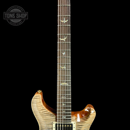 Fretboard of PRS TSG Anniversary Wood Library Artist DGT Frostbite Brazilian Rosewood.