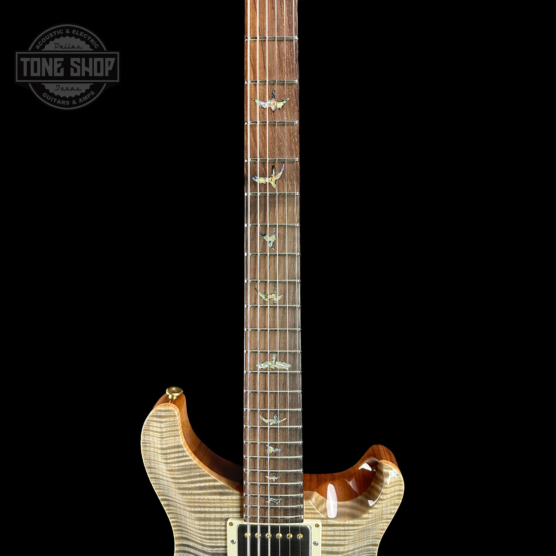 Fretboard of PRS TSG Anniversary Wood Library Artist DGT Frostbite Brazilian Rosewood.