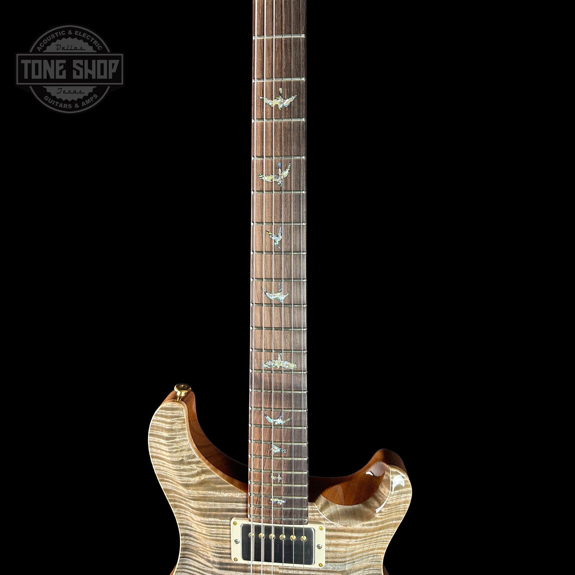 Fretboard of PRS TSG Anniversary Wood Library Artist DGT Frostbite Brazilian Rosewood.