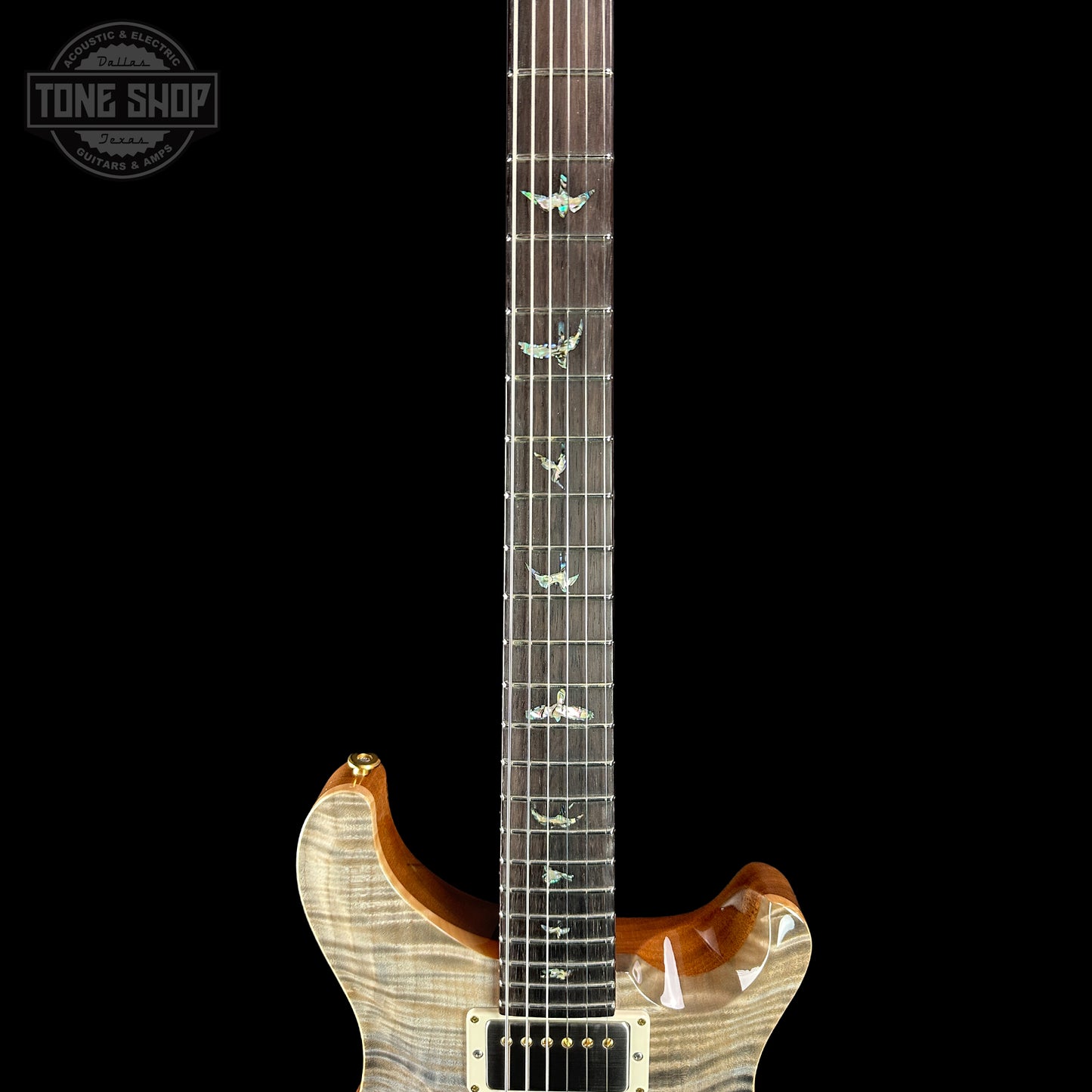 Fretboard of PRS TSG Anniversary Wood Library Artist DGT Frostbite Brazilian Rosewood.