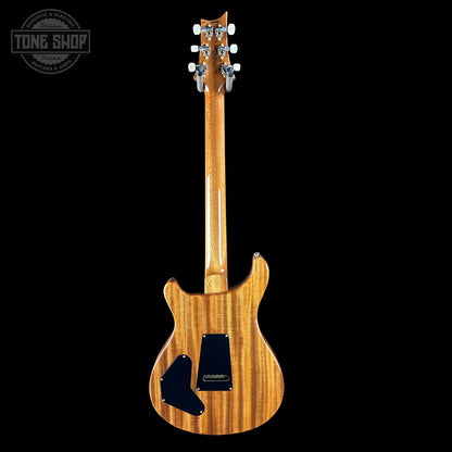 Full back of PRS TSG Anniversary Wood Library Artist DGT Frostbite Smokeburst Brazilian Rosewood.