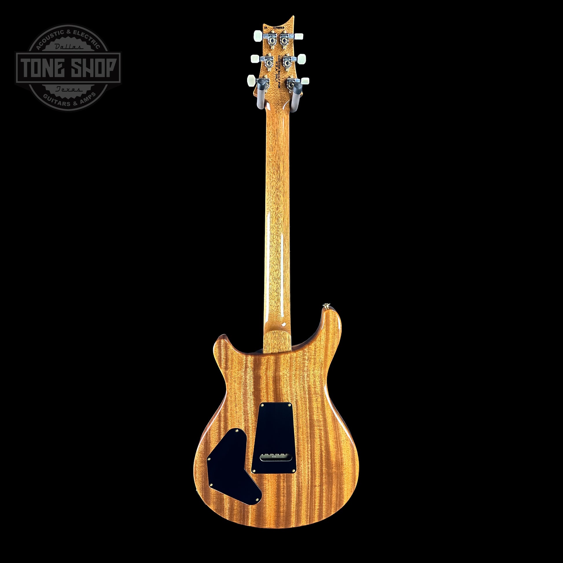 Full back of PRS TSG Anniversary Wood Library Artist DGT Frostbite Brazilian Rosewood.