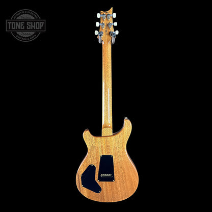 Full back of PRS TSG Anniversary Wood Library Artist DGT Frostbite Brazilian Rosewood.