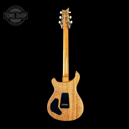 Full back of PRS TSG Anniversary Wood Library Artist DGT Gold Storm Fade Brazilian Rosewood.