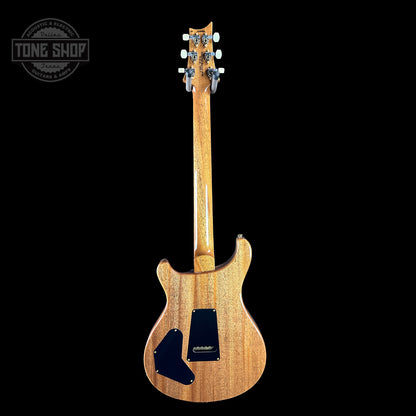 Full back of PRS TSG Anniversary Wood Library Artist DGT Frostbite Brazilian Rosewood.