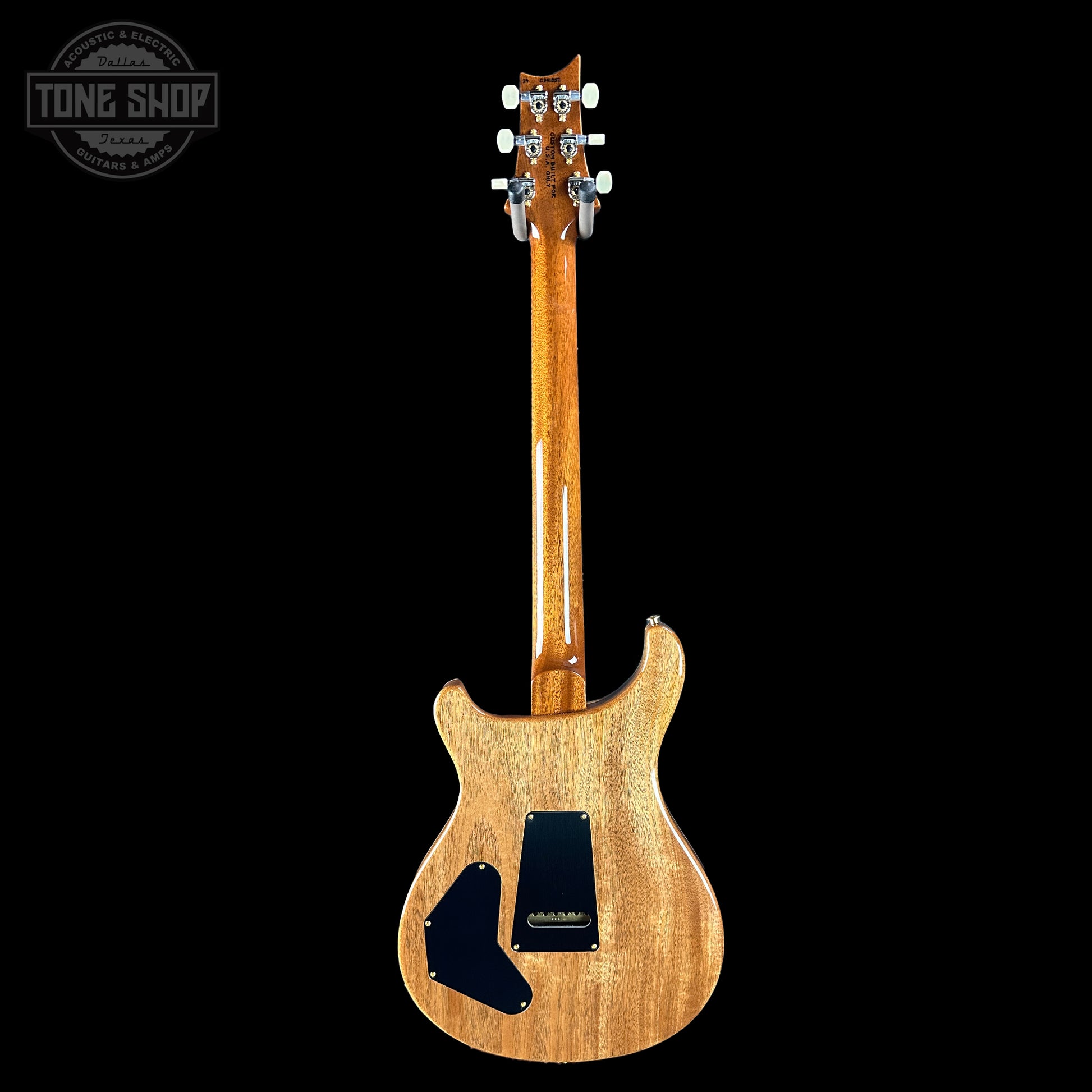 Full back of PRS TSG Anniversary Wood Library Artist DGT Frostbite Brazilian Rosewood.